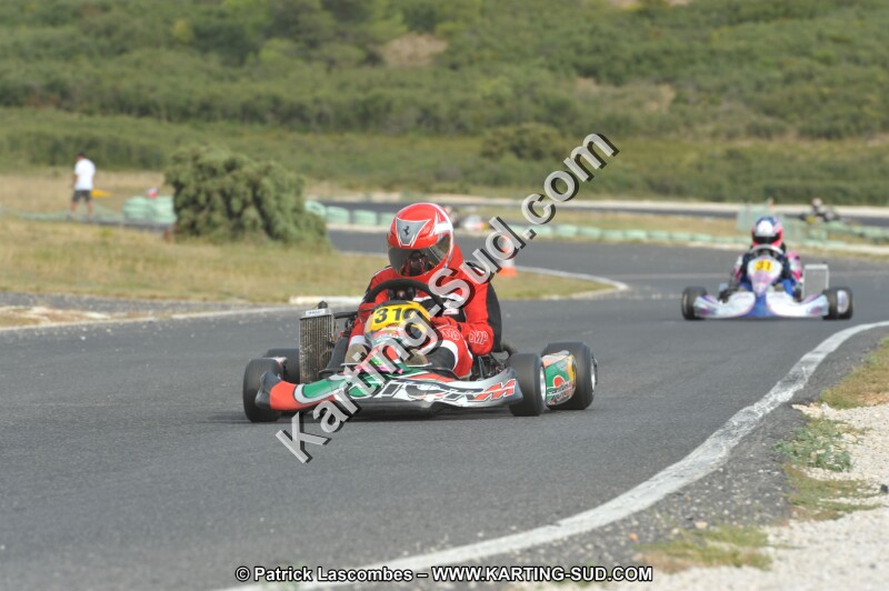 DSC (3912).JPG